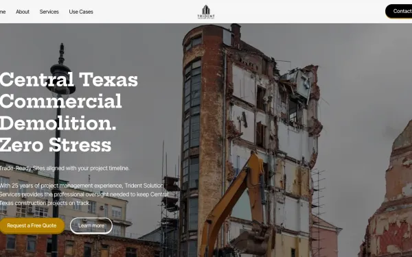 Trident Solution Services website preview