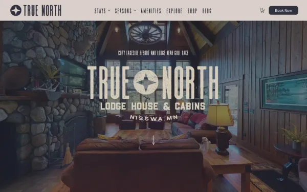 True North website preview