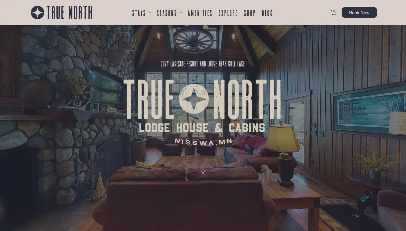 True North website preview